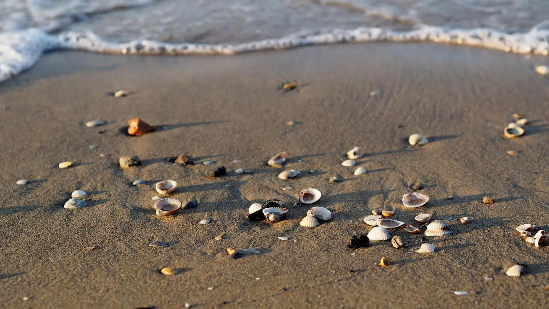 Apartment Villa Located A Few Meters From The Center And The Sea - Beach Place Included Bibione